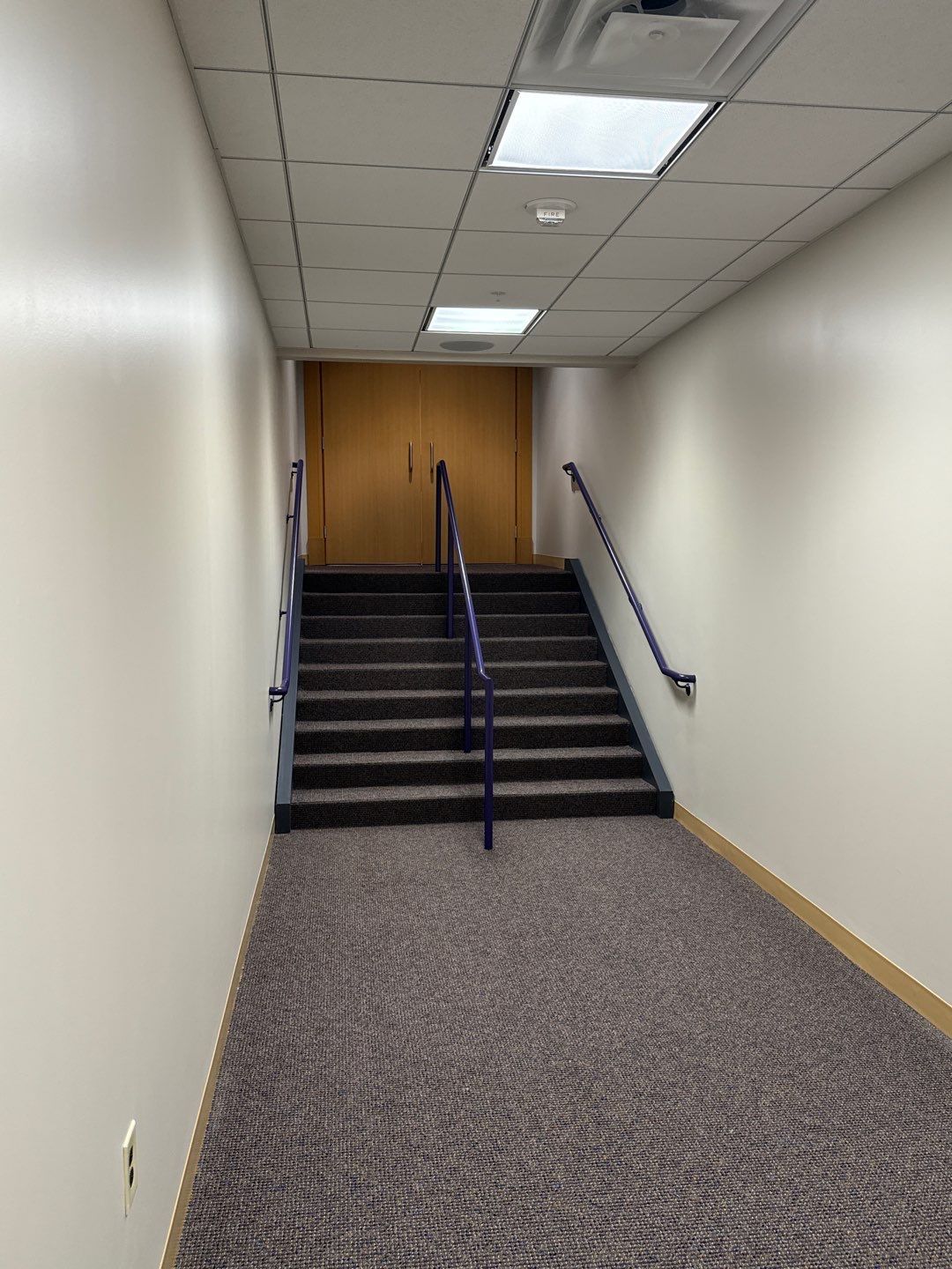 Commercial Repaint Of Dominion Energy Center in Richmond, VA