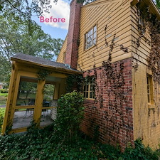 Bye Bye Ivy Hello Stylish & Spry-y Henrico, VA 0