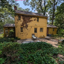 Bye Bye Ivy Hello Stylish & Spry-y Henrico, VA 1