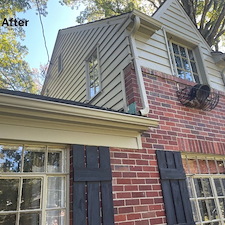 Bye Bye Ivy Hello Stylish & Spry-y Henrico, VA 6