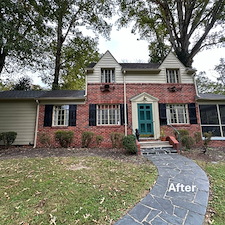 Bye Bye Ivy Hello Stylish & Spry-y Henrico, VA 7