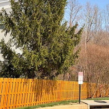 Salem Run Fence Staining 2