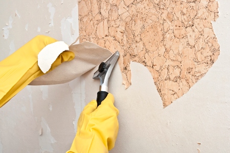 Wallpaper Removal Service Image